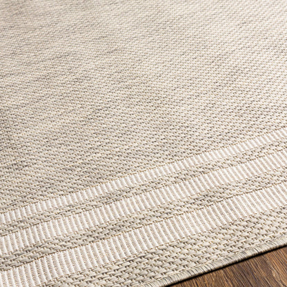AKRITI Indoor & Outdoor Traditional Light Grey Area Rug Texture