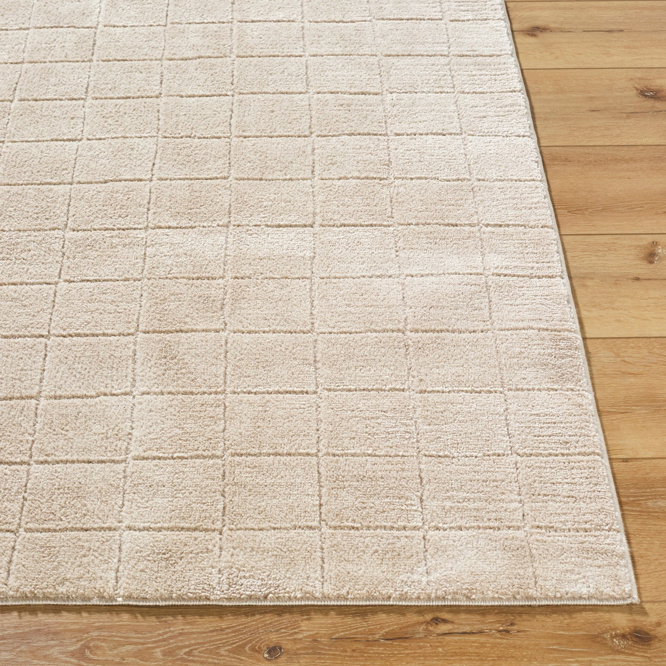 AMINA Our PNW Home x Livabliss Scandi High Pile Light Beige/Light Brown Area Rug Front