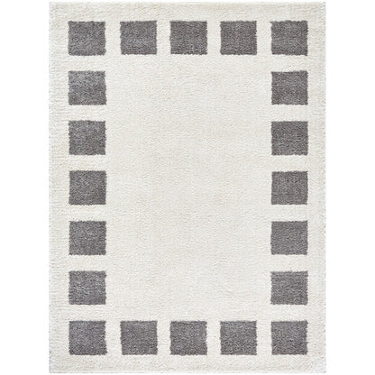 AMINE Machine Washable Modern Shaggy Charcoal Area Rug Flat