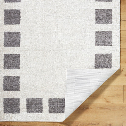AMINE Machine Washable Modern Shaggy Charcoal Area Rug Fold