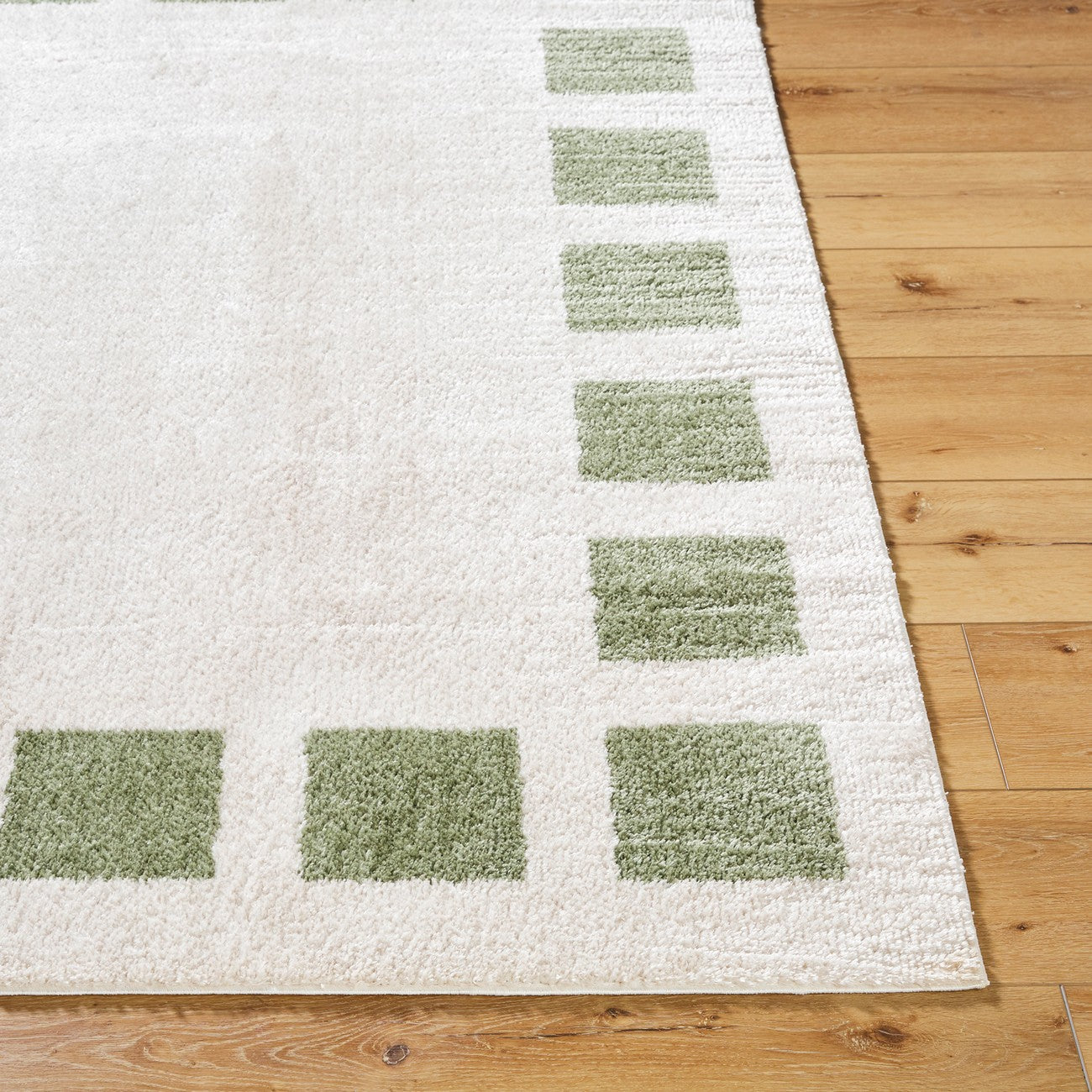AMINE Machine Washable Modern Shaggy Grass Green Area Rug Front
