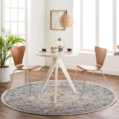 JADE Vintage Traditional Oriental Boho Taupe Area Rug Roomscene