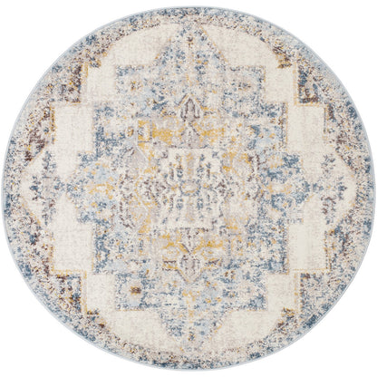 AGRA Vintage Traditional Oriental Boho Sky Blue Area Rug Flat