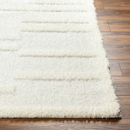 BAHRANI Shaggy Modern Plush Pile Beige/Ivory Area Rug Front
