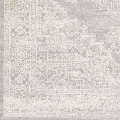 CEREN Vintage Traditional Oriental Boho Grey Area Rug Swatch