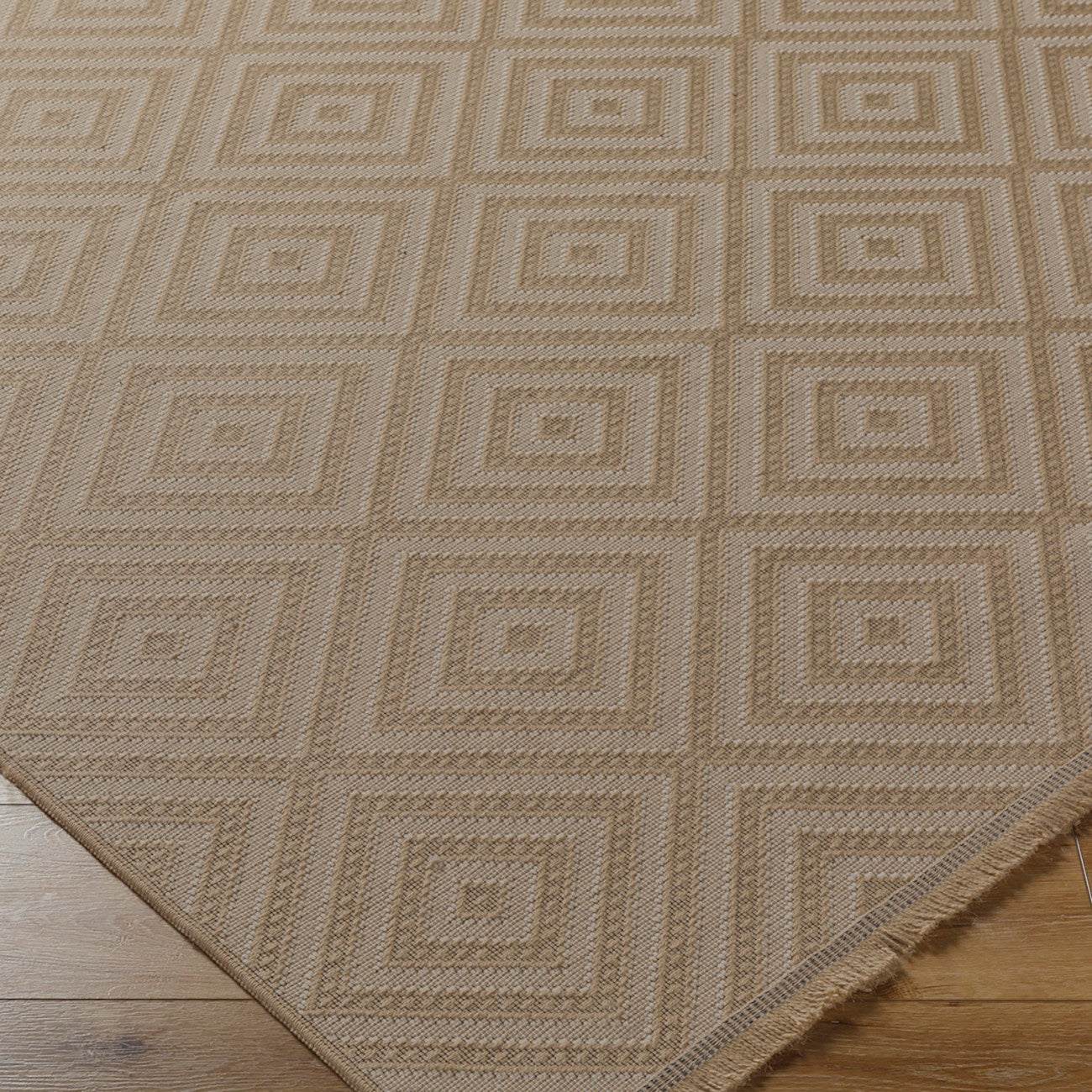 CHARDY Cottage Tan/Light Beige Machine Washable Jute Area Rug Corner