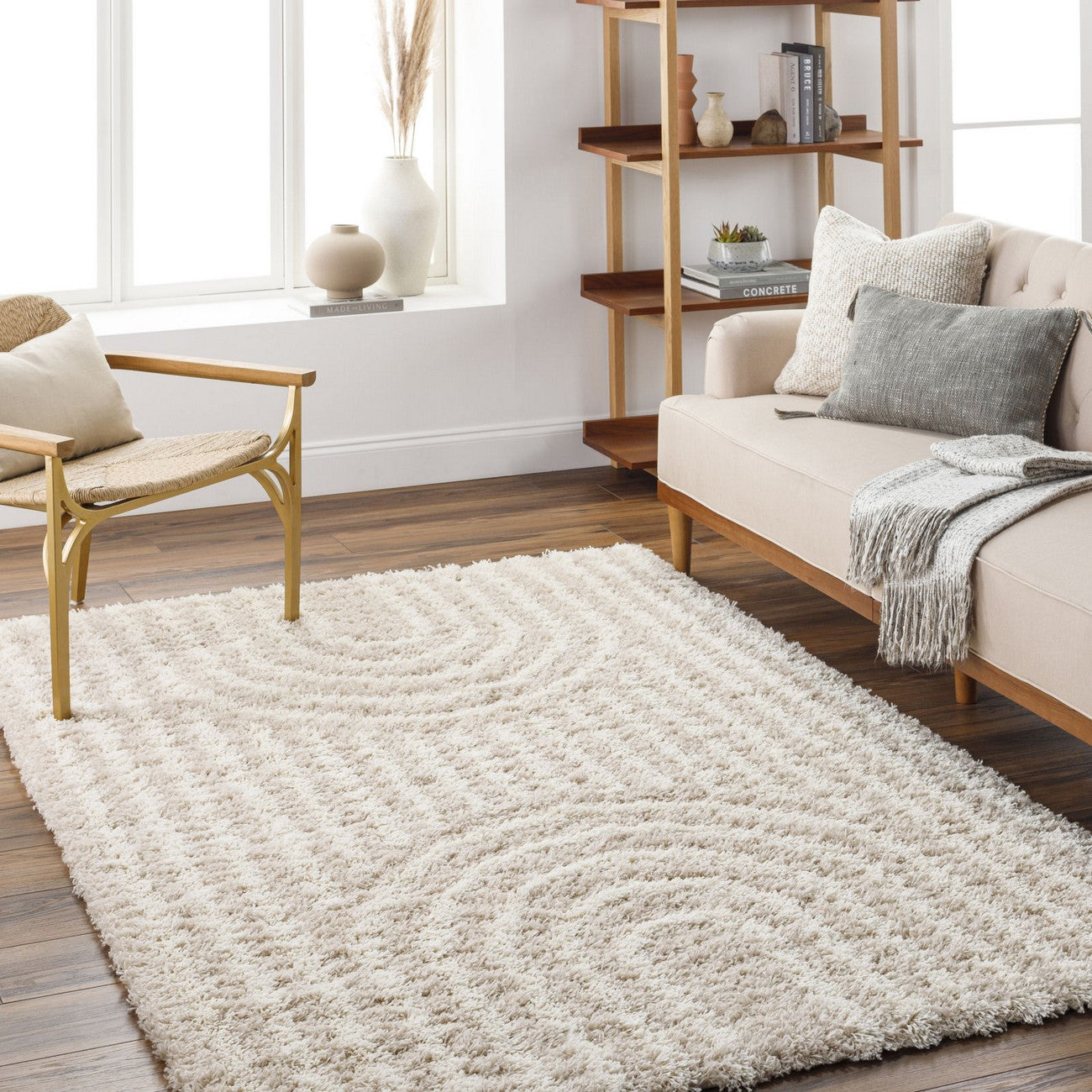 CHRISTINA Shaggy Modern Plush Pile Beige Area Rug Roomscene