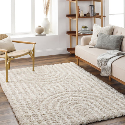 CHRISTINA Shaggy Modern Plush Pile Beige Area Rug Roomscene