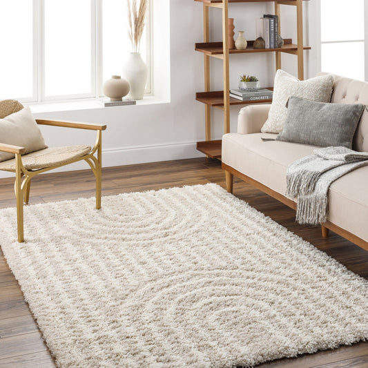 CHRISTINA Shaggy Modern Plush Pile Beige Area Rug Roomscene
