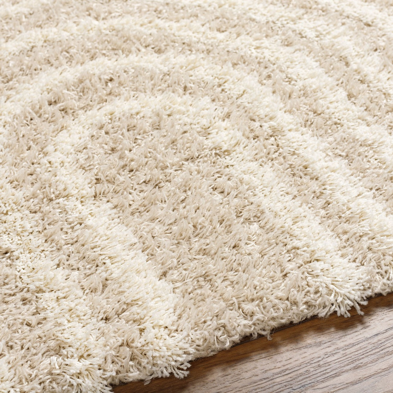 CHRISTINA Shaggy Modern Plush Pile Beige Area Rug Texture