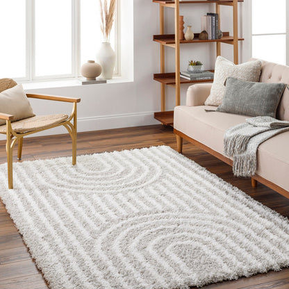 CHRISTINA Shaggy Modern Plush Pile Light Grey Area Rug Roomscene