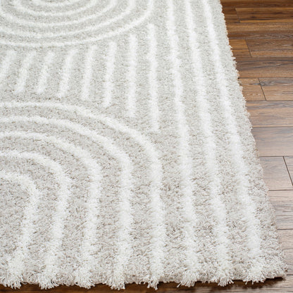 CHRISTINA Shaggy Modern Plush Pile Light Grey Area Rug Front