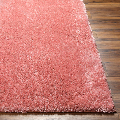 CLAIRE Shaggy Solid Color Plush Pile Coral Area Rug Front