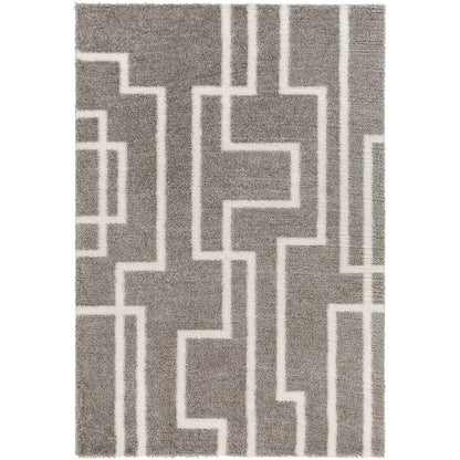 SCARTLETT Shaggy Modern Plush Pile Dark Grey Area Rug Flat