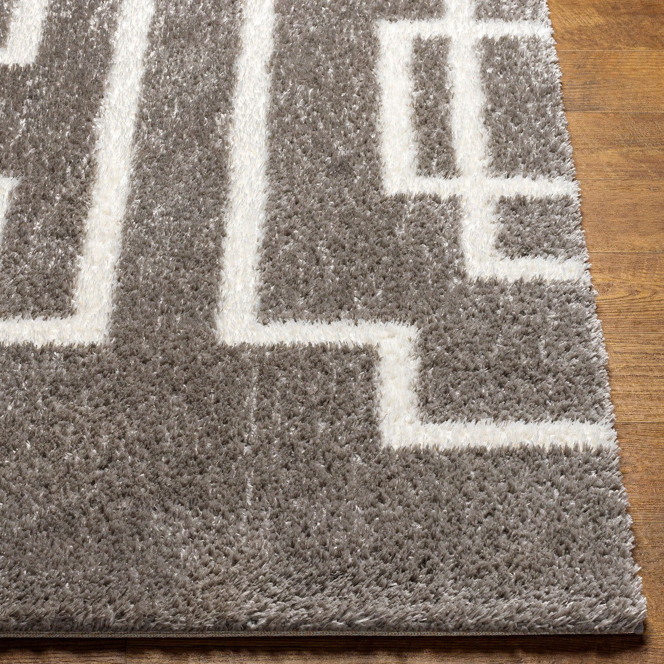 SCARTLETT Shaggy Modern Plush Pile Dark Grey Area Rug Front