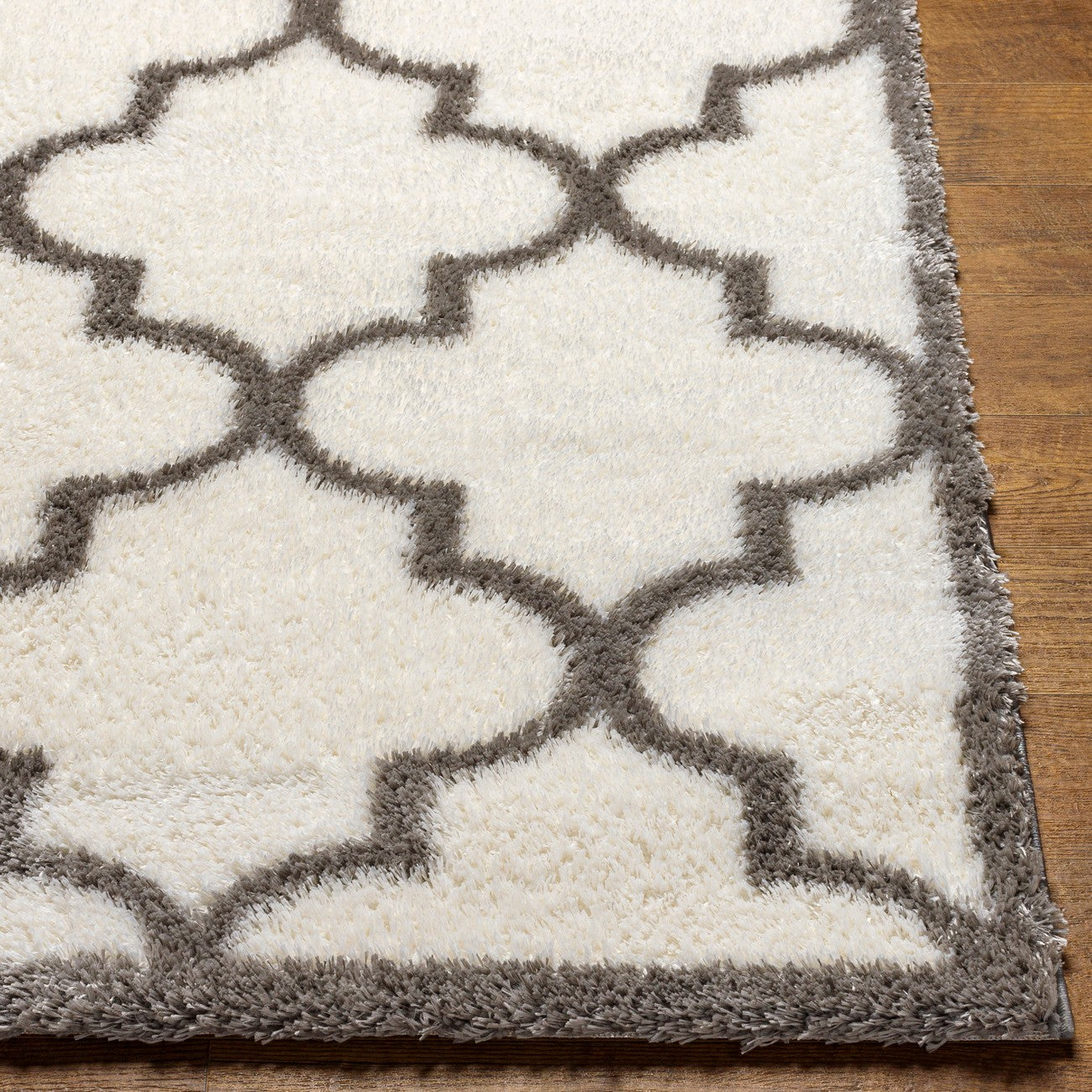 ELLIE Shaggy Cottage Plush Pile Ivory Area Rug Front