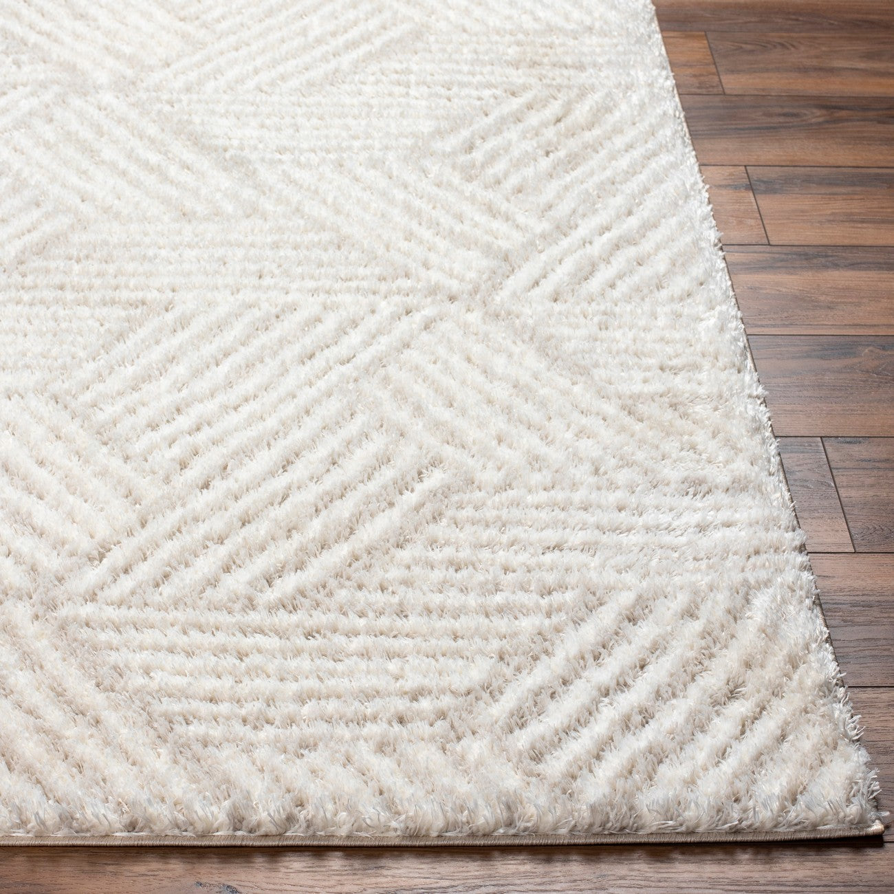 ALLIE Round Shaggy Geometric Plush Pile Beige Area Rug Front