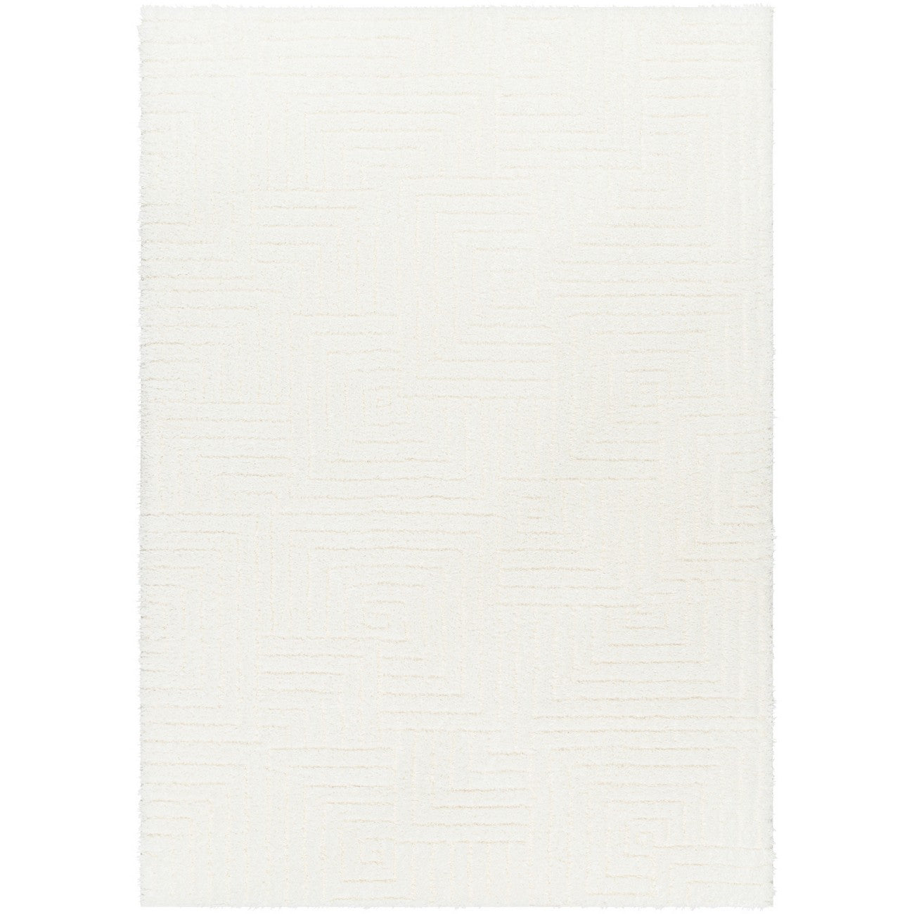 DARIANA Shaggy Modern Plush Pile Ivory Area Rug Flat
