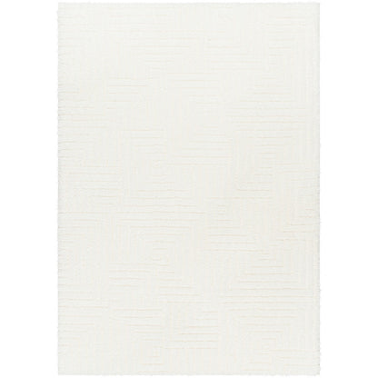 DARIANA Shaggy Modern Plush Pile Ivory Area Rug Flat