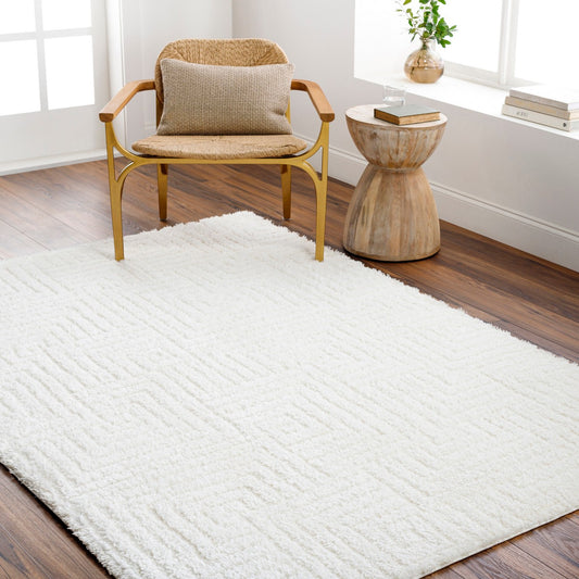 DARIANA Shaggy Modern Plush Pile Ivory Area Rug Roomscene