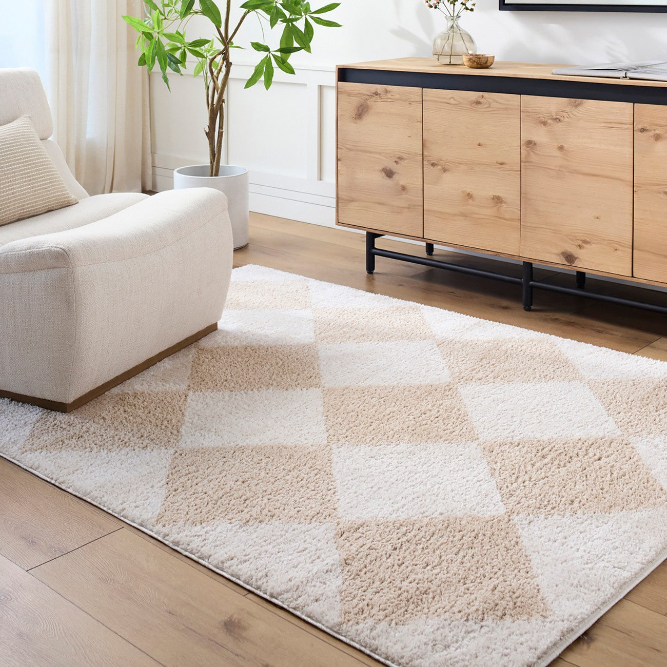 DELINE Machine Washable Modern Shaggy Beige Area Rug Roomscene