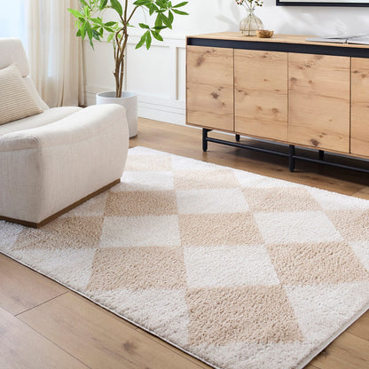 DELINE Machine Washable Modern Shaggy Beige Area Rug Roomscene