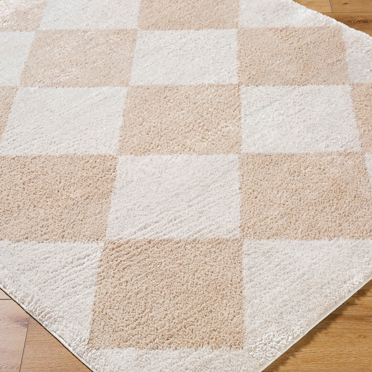 DELINE Machine Washable Modern Shaggy Beige Area Rug Corner
