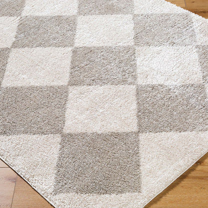 DELINE Machine Washable Modern Shaggy Medium Grey Area Rug Corner