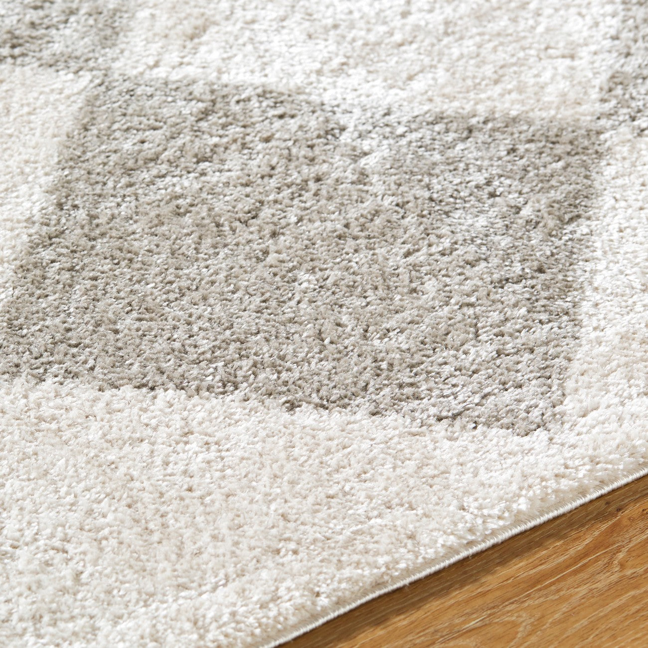 DELINE Machine Washable Modern Shaggy Medium Grey Area Rug Texture