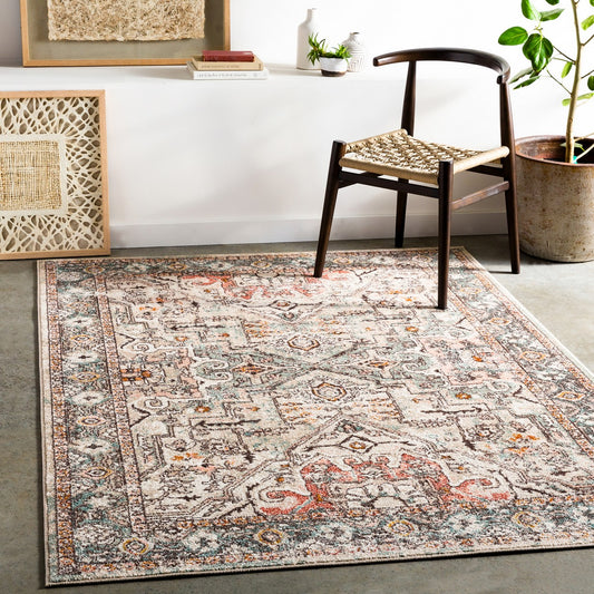 DIA Vintage Traditional Oriental Boho Brick Area Rug Roomscene