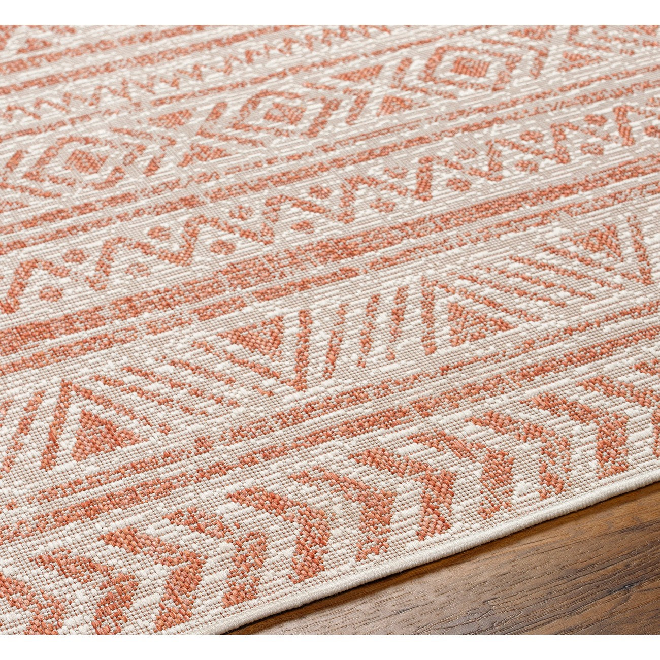 DIKSHA Indoor & Outdoor Global Coral/Pink Area Rug Texture