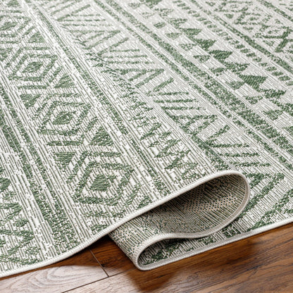 DIKSHA Indoor & Outdoor Global Moss Green Area Rug Fold