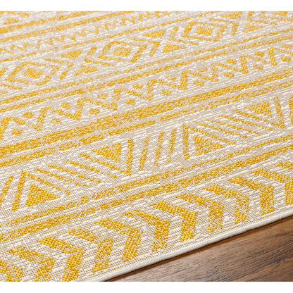 DIKSHA Indoor & Outdoor Global Saffron Area Rug Texture