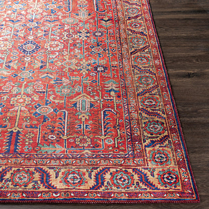 DOINA Vintage Oriental Boho Sky Blue Area Rug Front