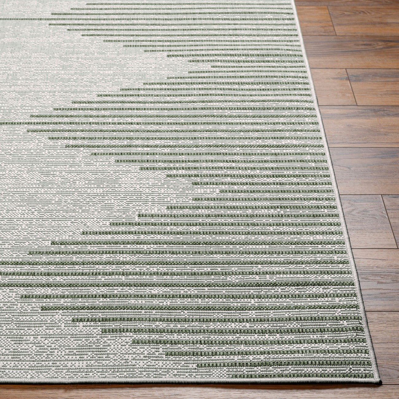 DOLLY Indoor & Outdoor Global Moss/Grey Area Rug Front