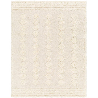 ELAHEH CREEK Shaggy Modern Plush Pile Light Grey Area Rug Flat