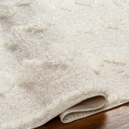 ELAHEH CREEK Shaggy Modern Plush Pile Light Grey Area Rug Fold