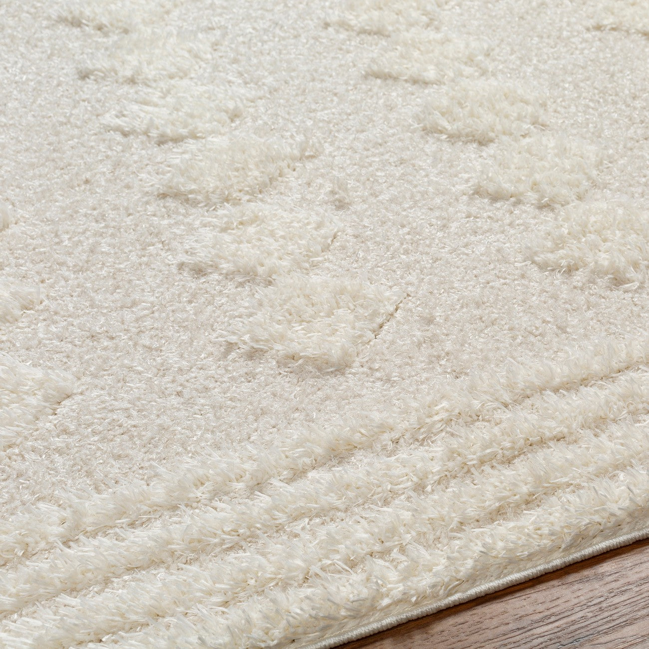 ELAHEH CREEK Shaggy Modern Plush Pile Light Grey Area Rug Texture