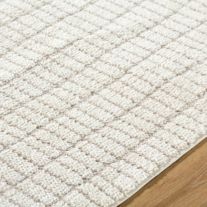 ELIANA Our PNW Home x Livabliss Scandi High Pile Ivory Area Rug Texture