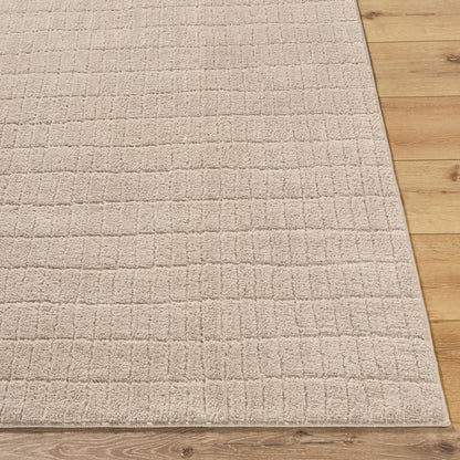 ELIANA Our PNW Home x Livabliss Scandi High Pile Light Beige Area Rug Front
