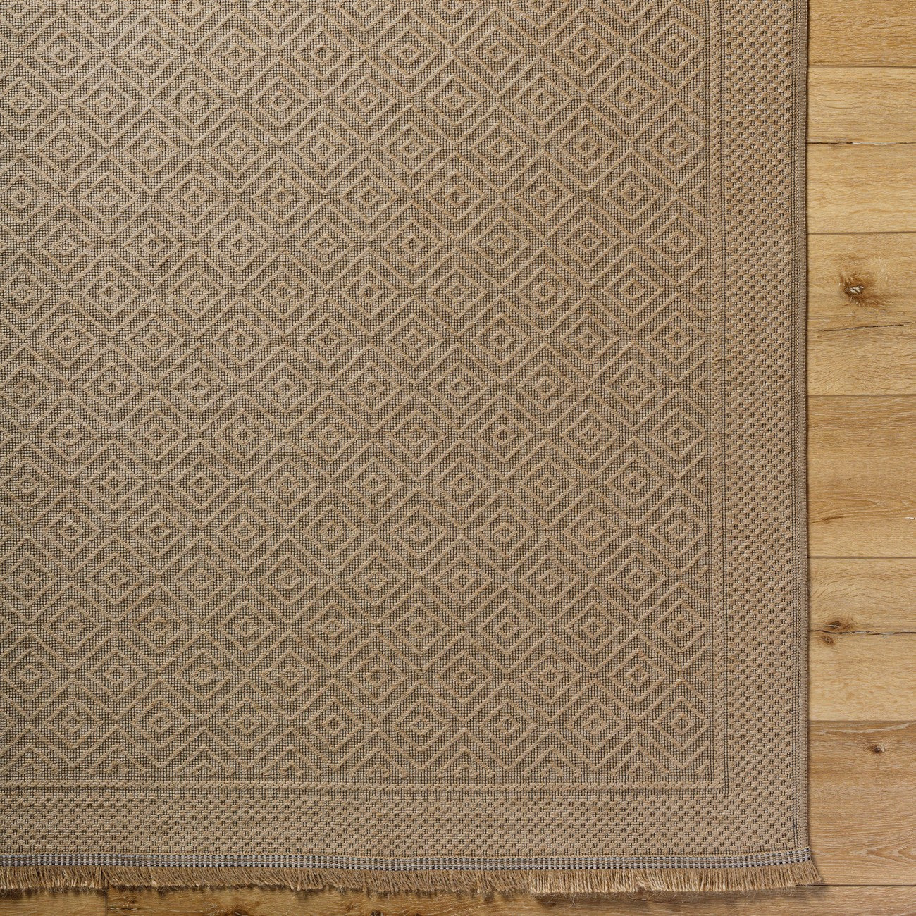 ESHA Cottage Tan/Beige Machine Washable Jute Area Rug Overhead