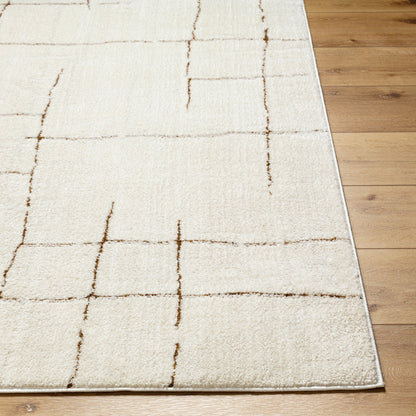 AVA Scandi Modern High Pile Ivory/Brown Area Rug Front