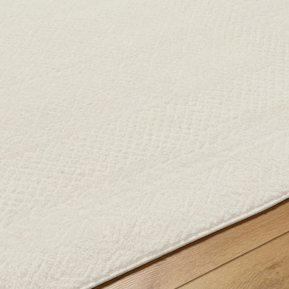 AMBRE Scandi Modern High Pile Ivory/Off-White Area Rug Texture