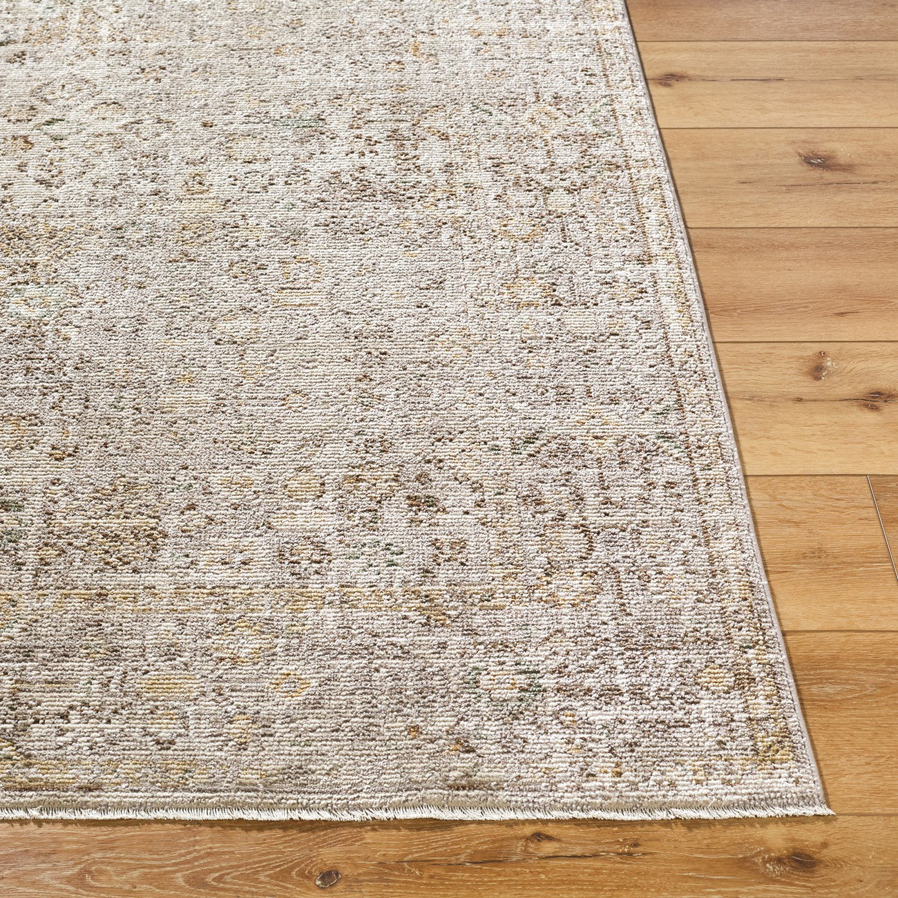 GABRY Galey Alix x Livabliss Vintage Traditional Oriental Boho Brown/Taupe Area Rug Front