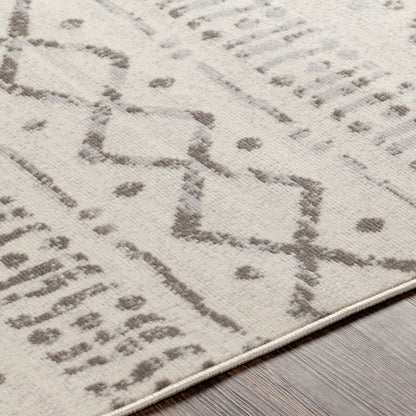 HATIVI Scandi Global Light Grey Area Rug Texture