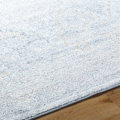 INES Vintage Oriental Boho Medium Grey Area Rug Texture