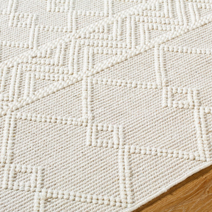 ISHANI Hand-Woven Global Wool Beige Area Rug Texture