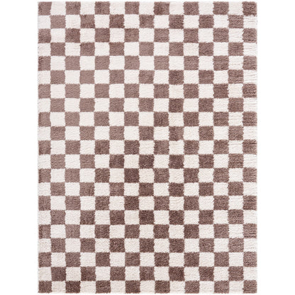 IZALINE Machine Washable Modern Shaggy Dark Brown Area Rug Flat