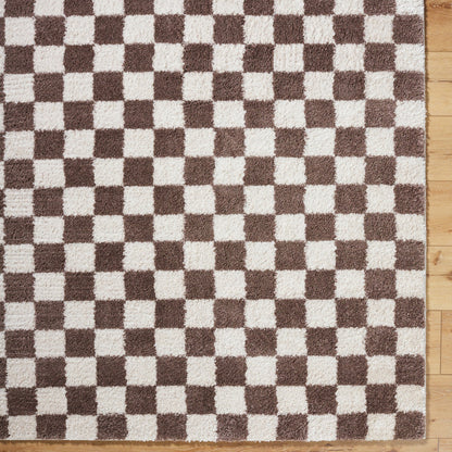 IZALINE Machine Washable Modern Shaggy Dark Brown Area Rug Overhead