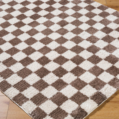 IZALINE Machine Washable Modern Shaggy Dark Brown Area Rug Corner
